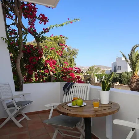 艾斯特纳克索斯酒店 酒店 Naxos City