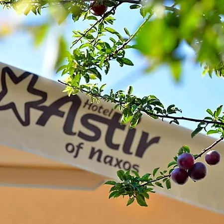 艾斯特纳克索斯酒店 Naxos City