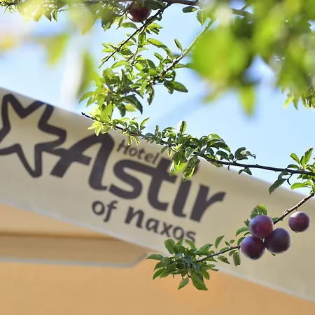 Astir Of Naxos Hotell